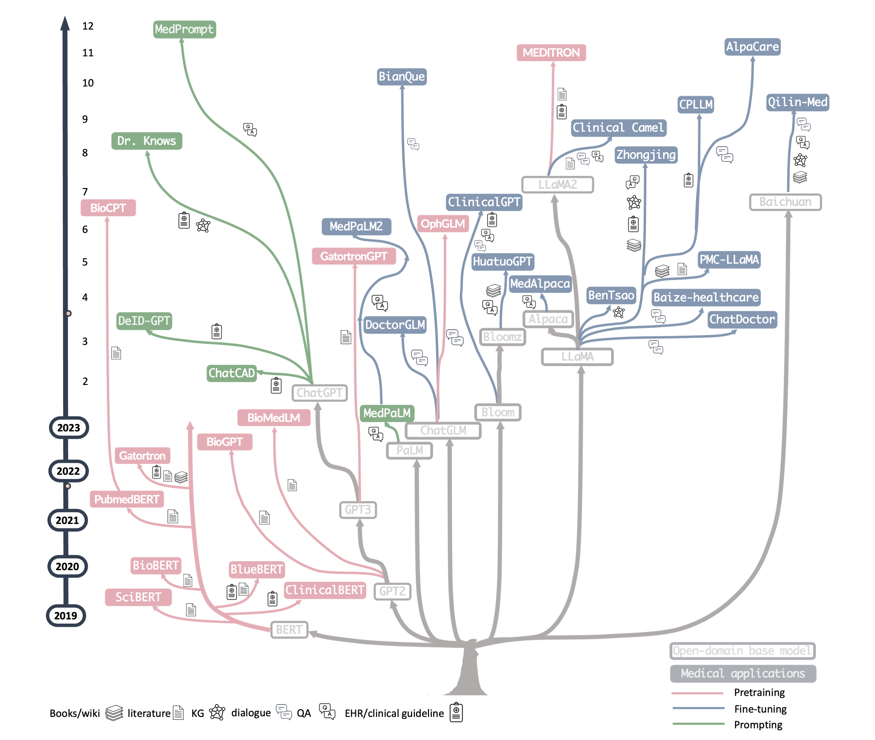 Medical LLM Tree